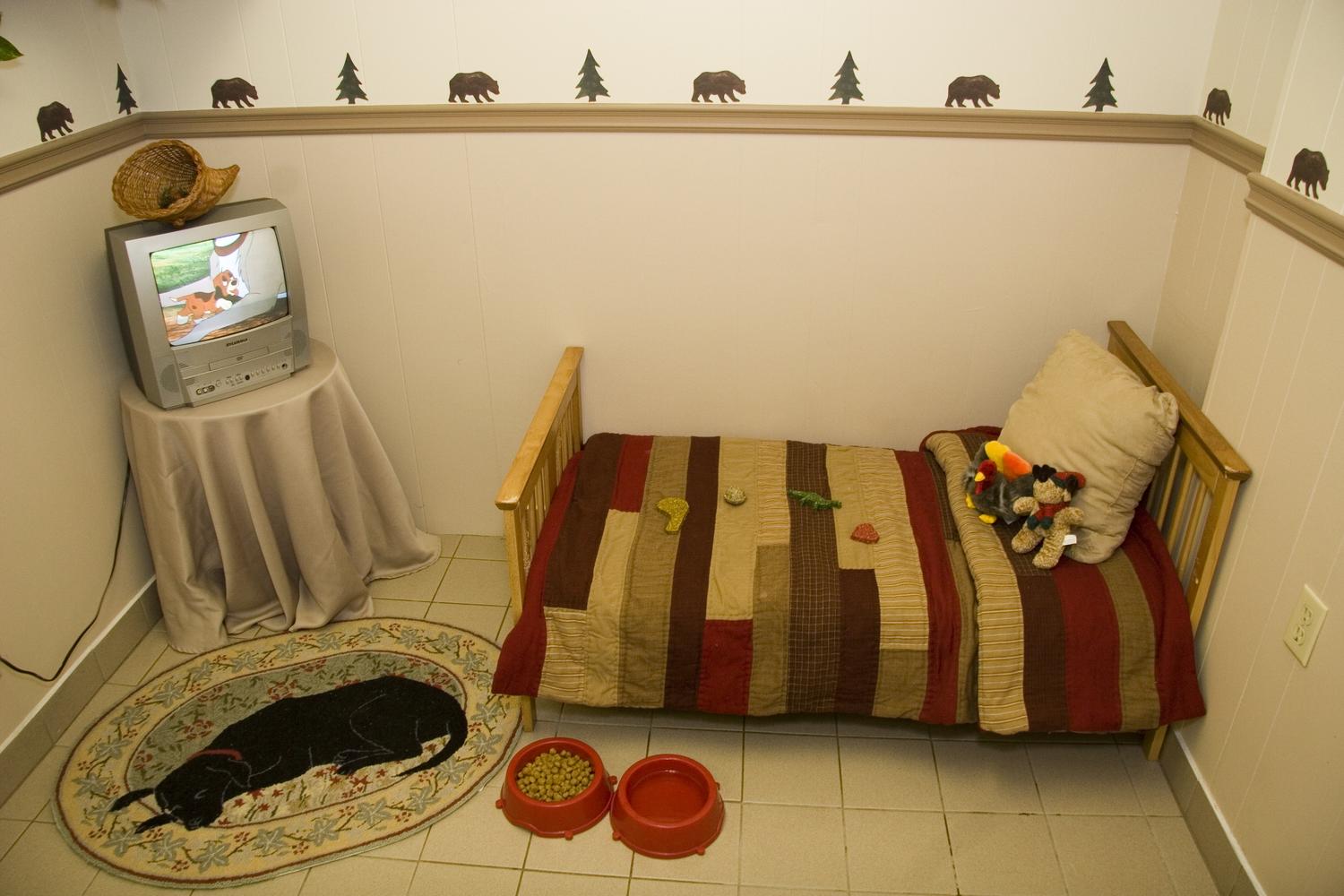 AMG A Pet Resort 3