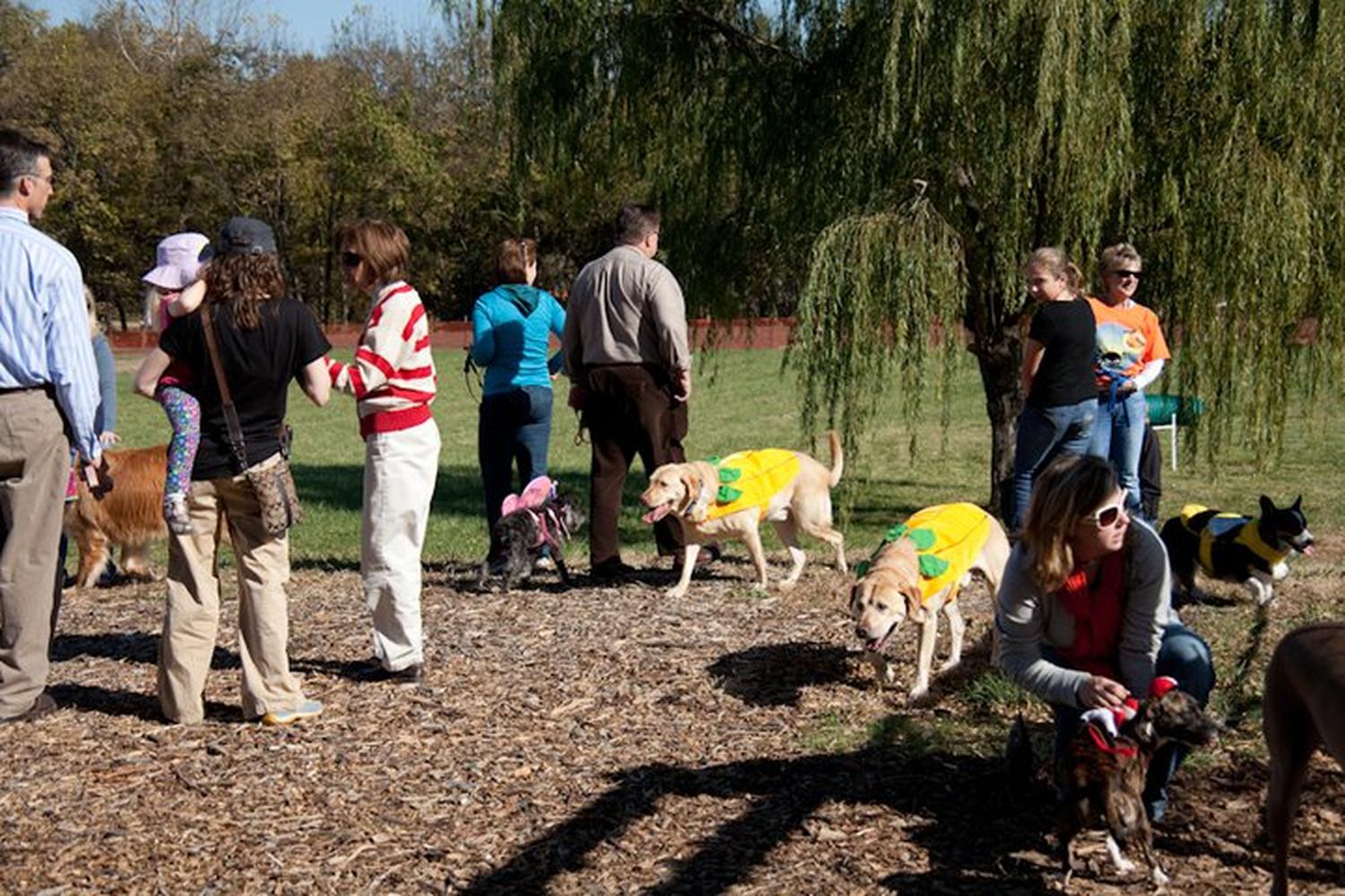 The Pet Ranch Boarding Kennel 5