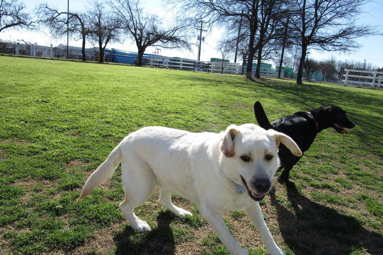 Woodland Park Pet Resort 0