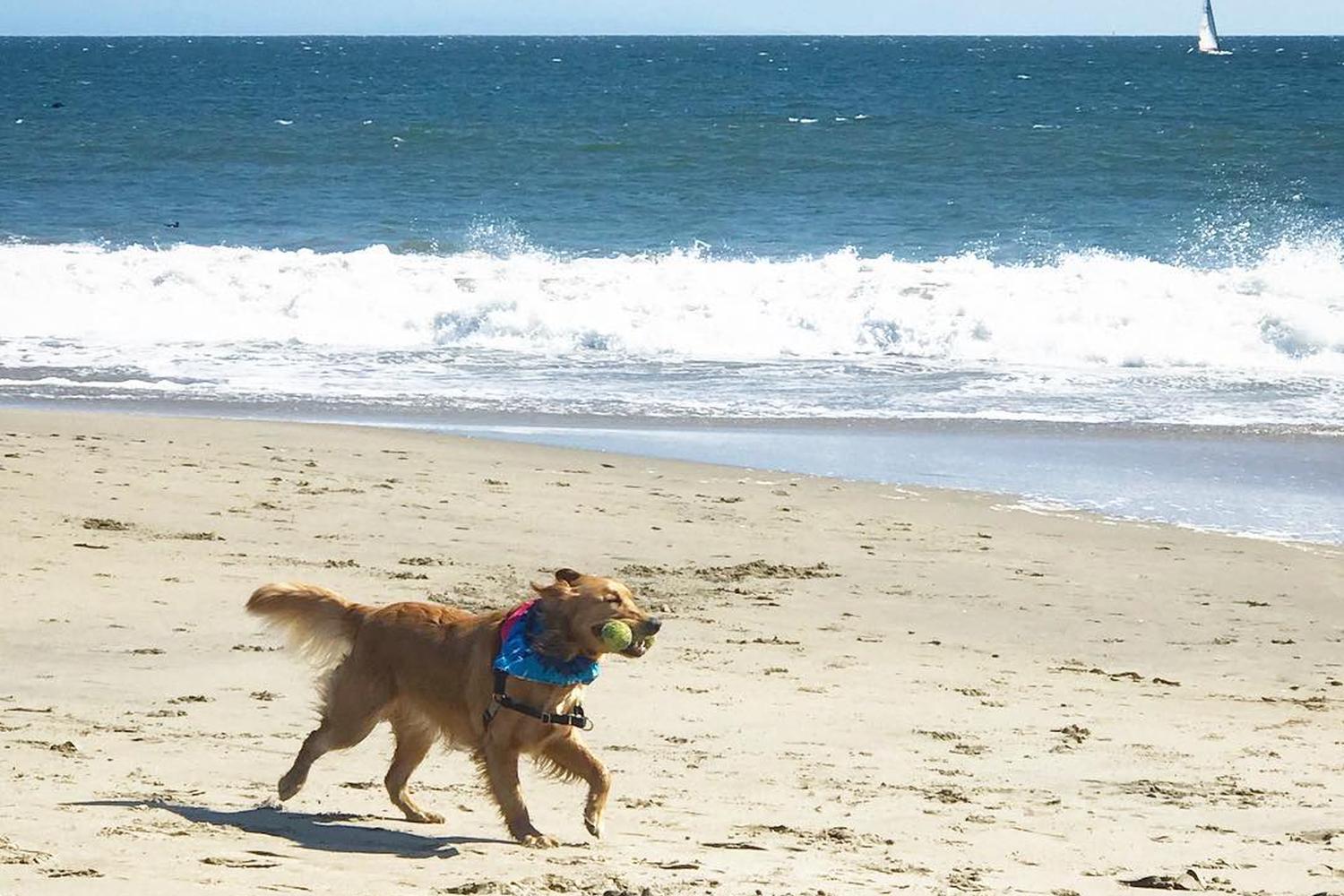 Seabright Beach 2