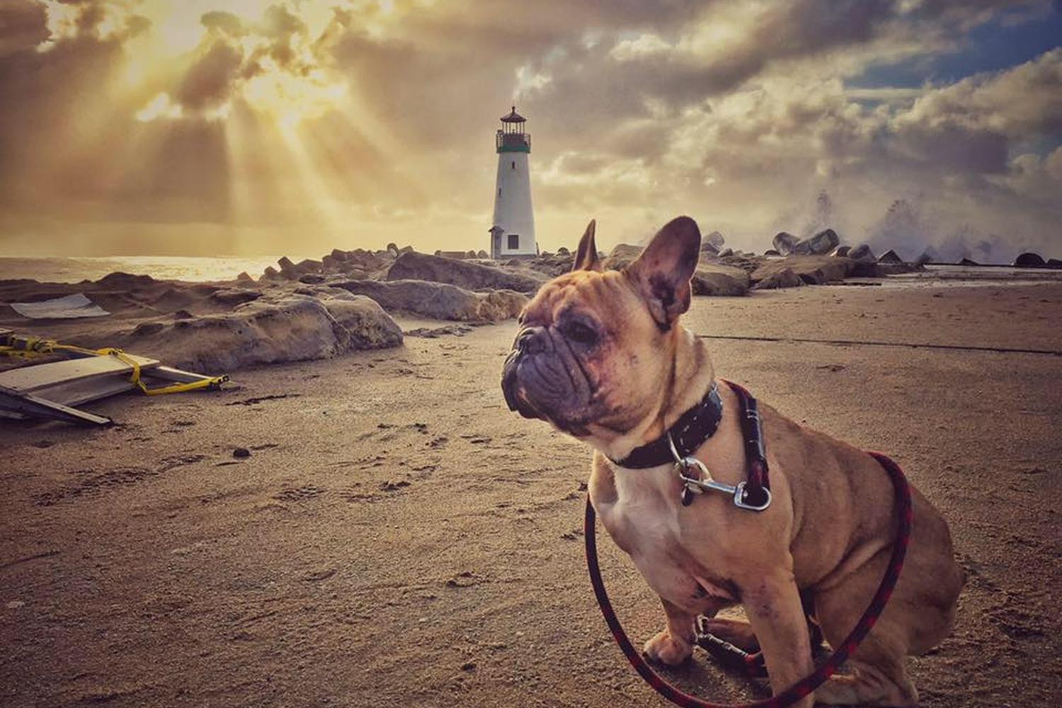 Seabright Beach 0