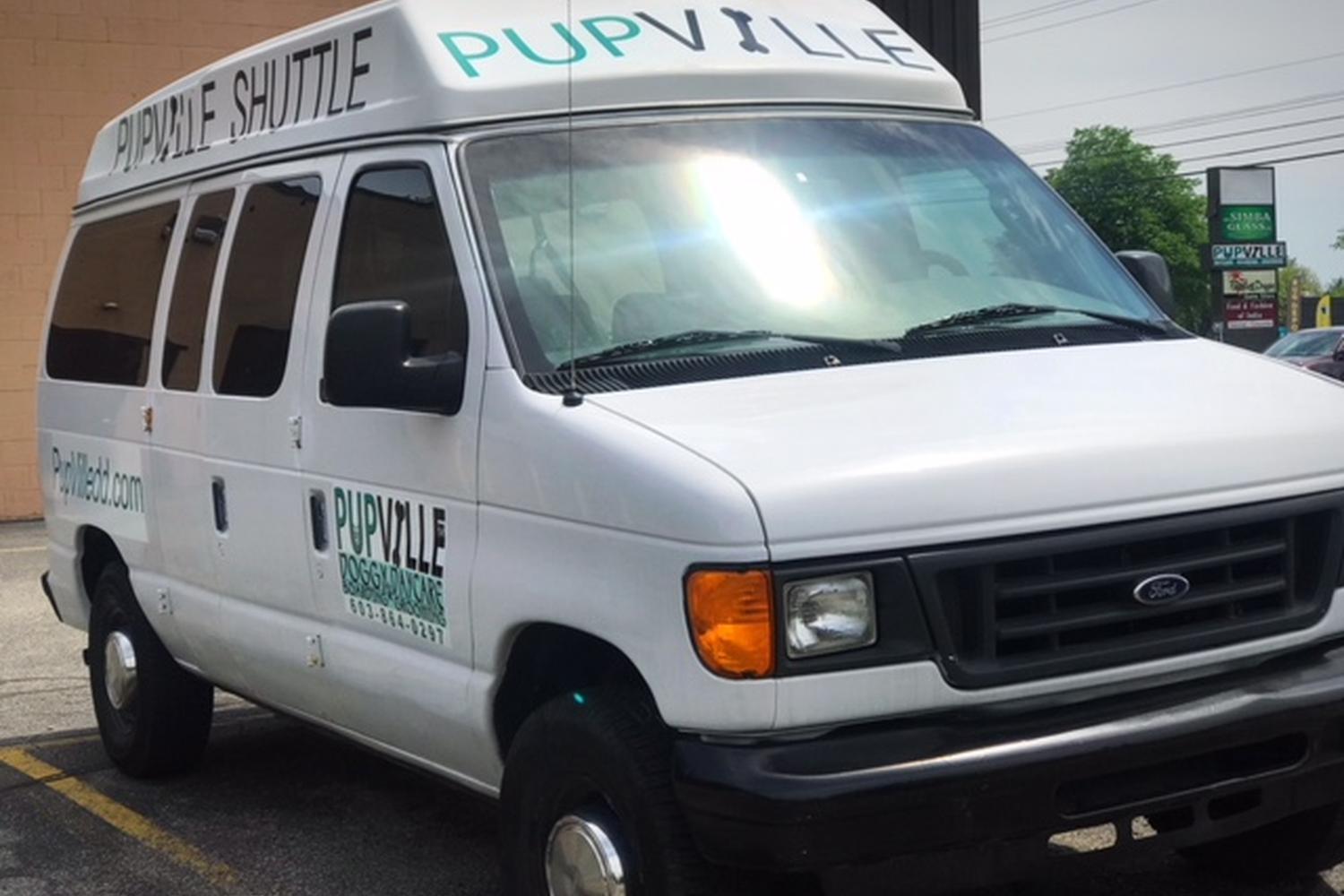 PupVille Doggy Daycare 4