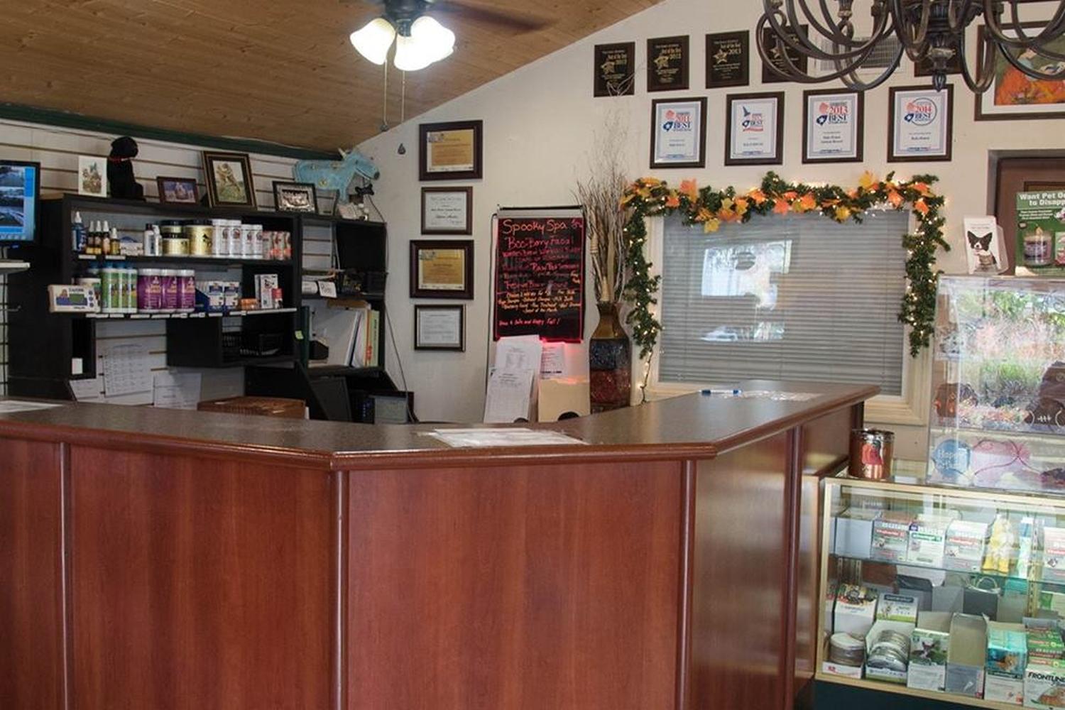 Halo House Animal Resort 5