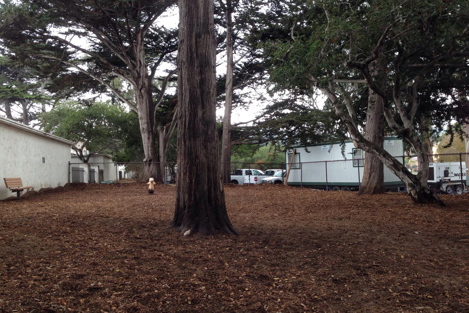 El Estero Dog Park 2