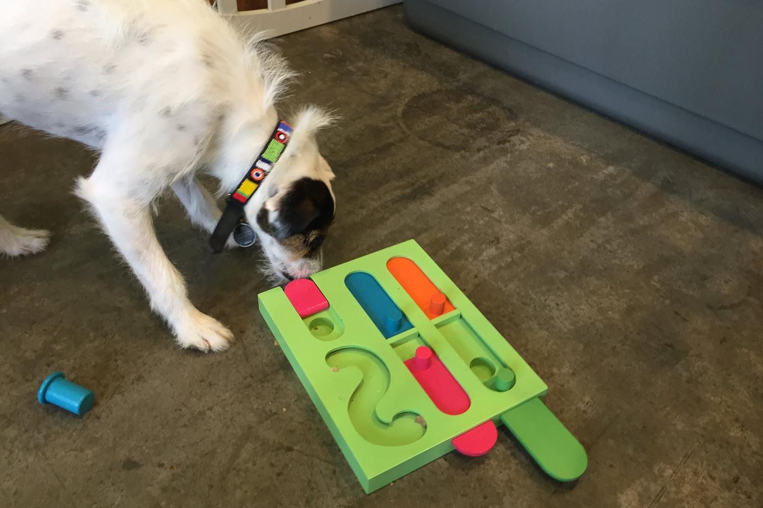 Pet Villa 2