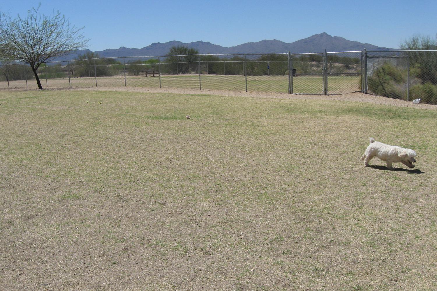Northwest Community Dog Park at Ann Day Community Park 2