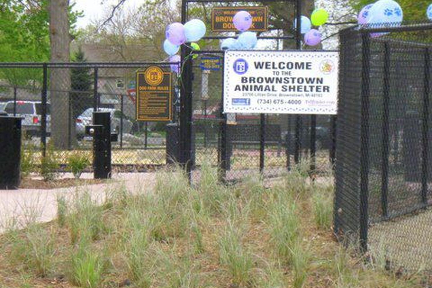 Brownstown Dog Park 3