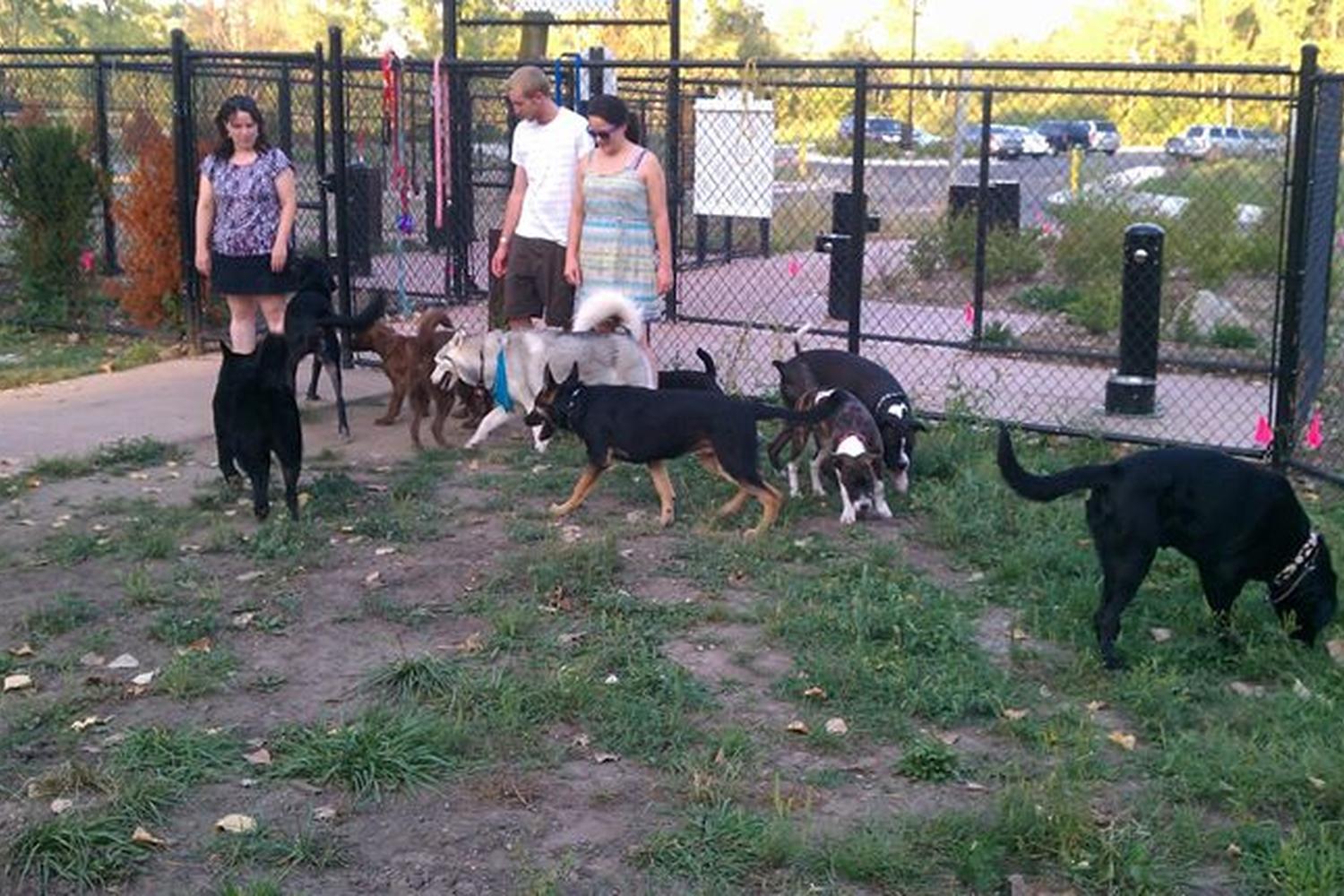 Brownstown Dog Park 1