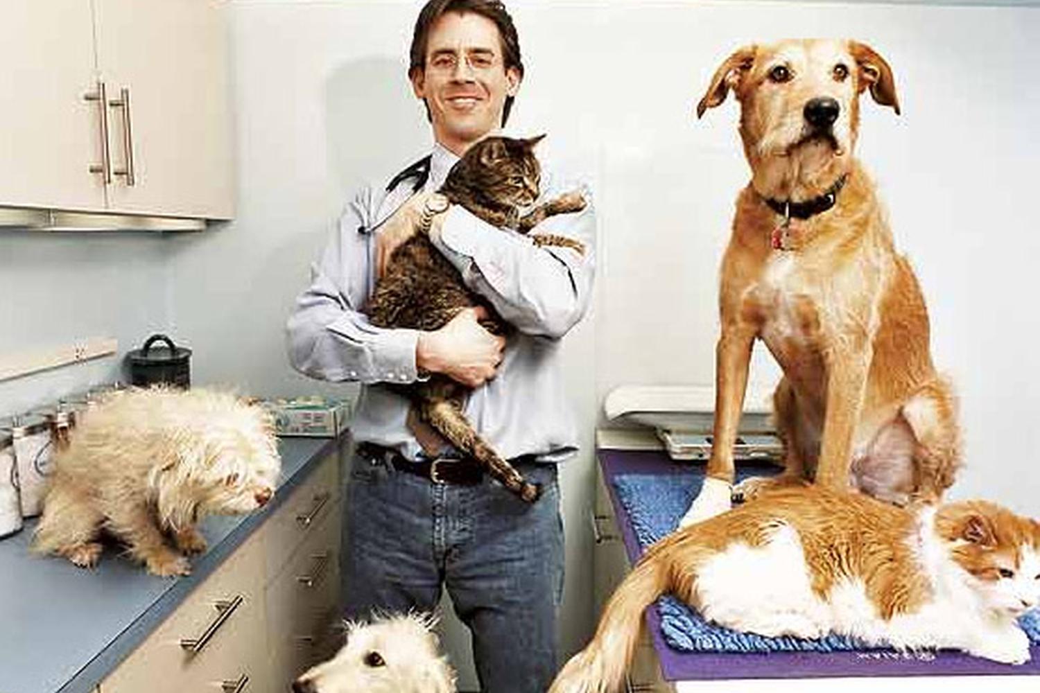 City Veterinary Care 4