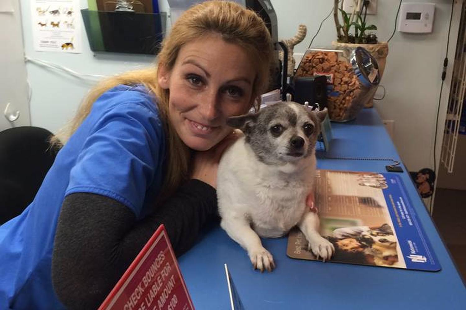 St. Francis Pet Clinic 5