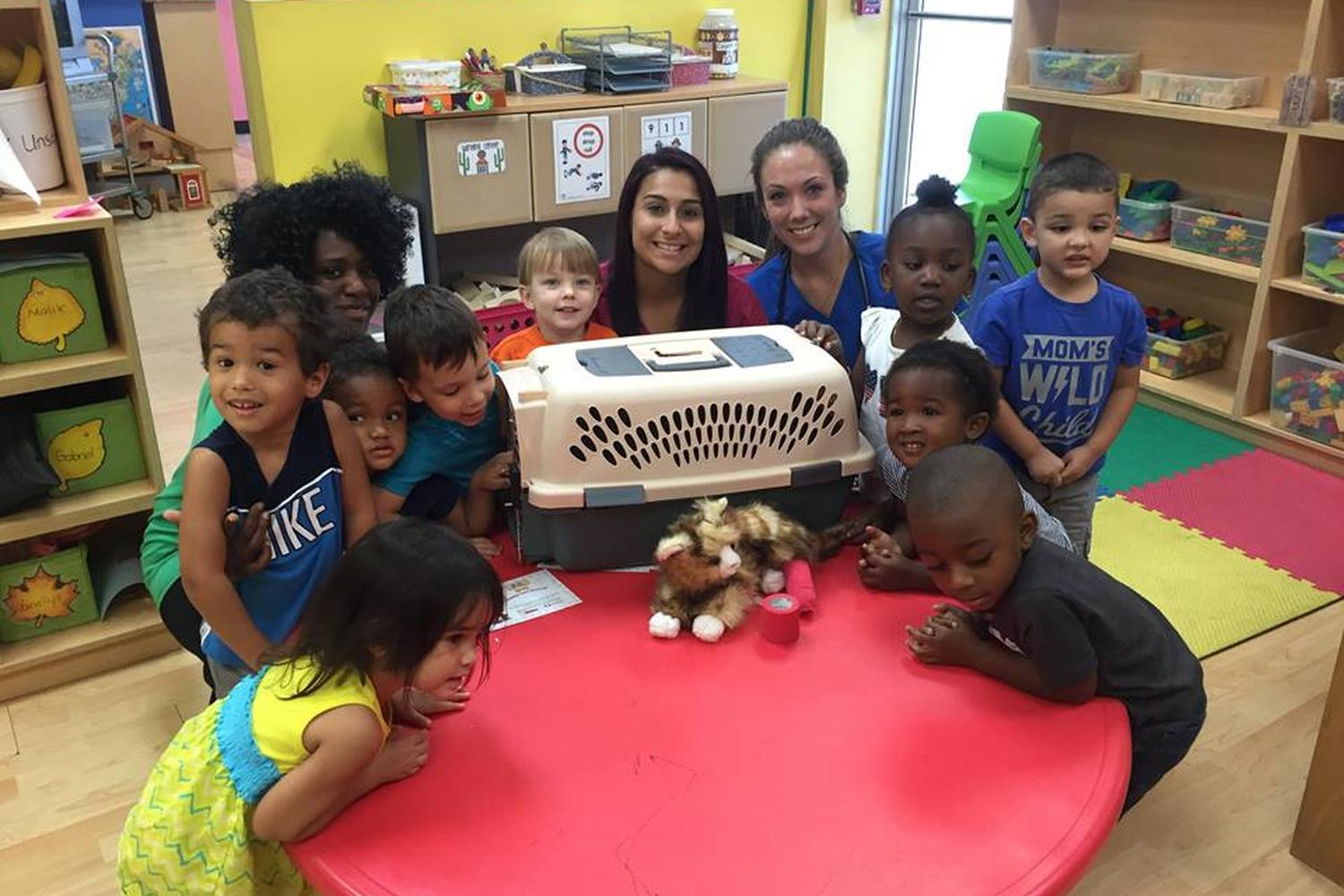 DPC Veterinary Hospital 2