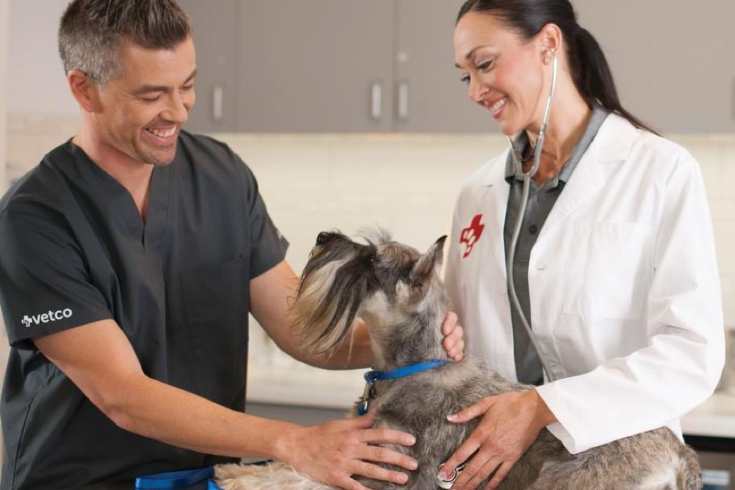 Vetco Vaccination Clinics 0