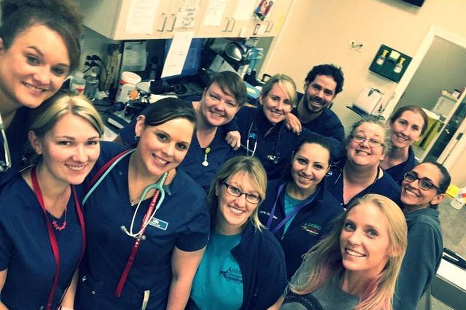 Animal Emergency & Specialty Center 4