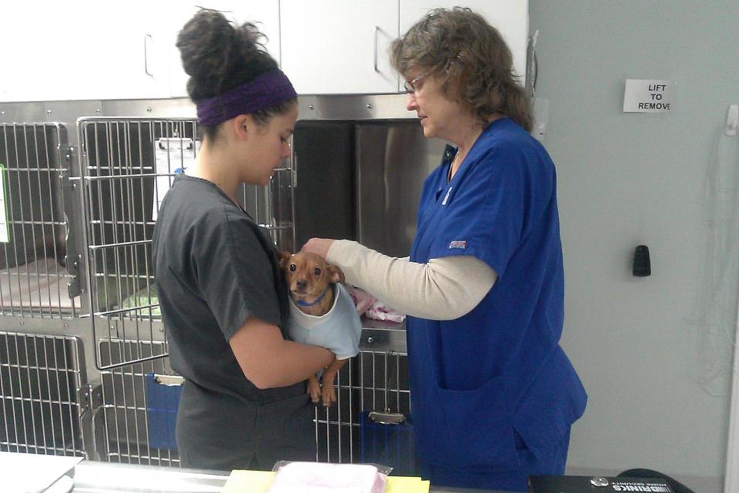 Appalachian-New River Veterinary Associates 2