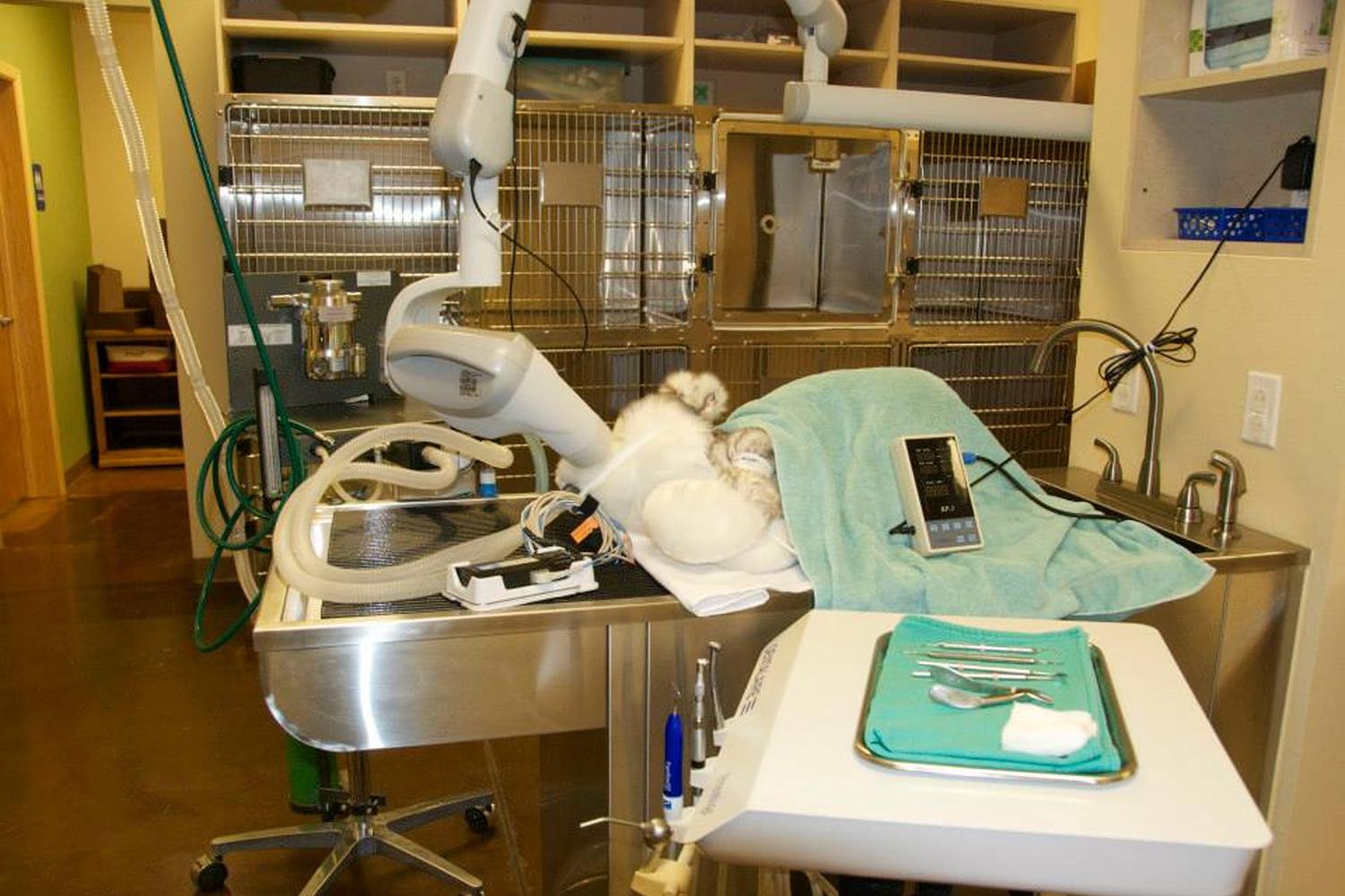 La Cueva Animal Hospital 5