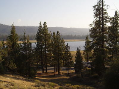 Woodland Trail 5
