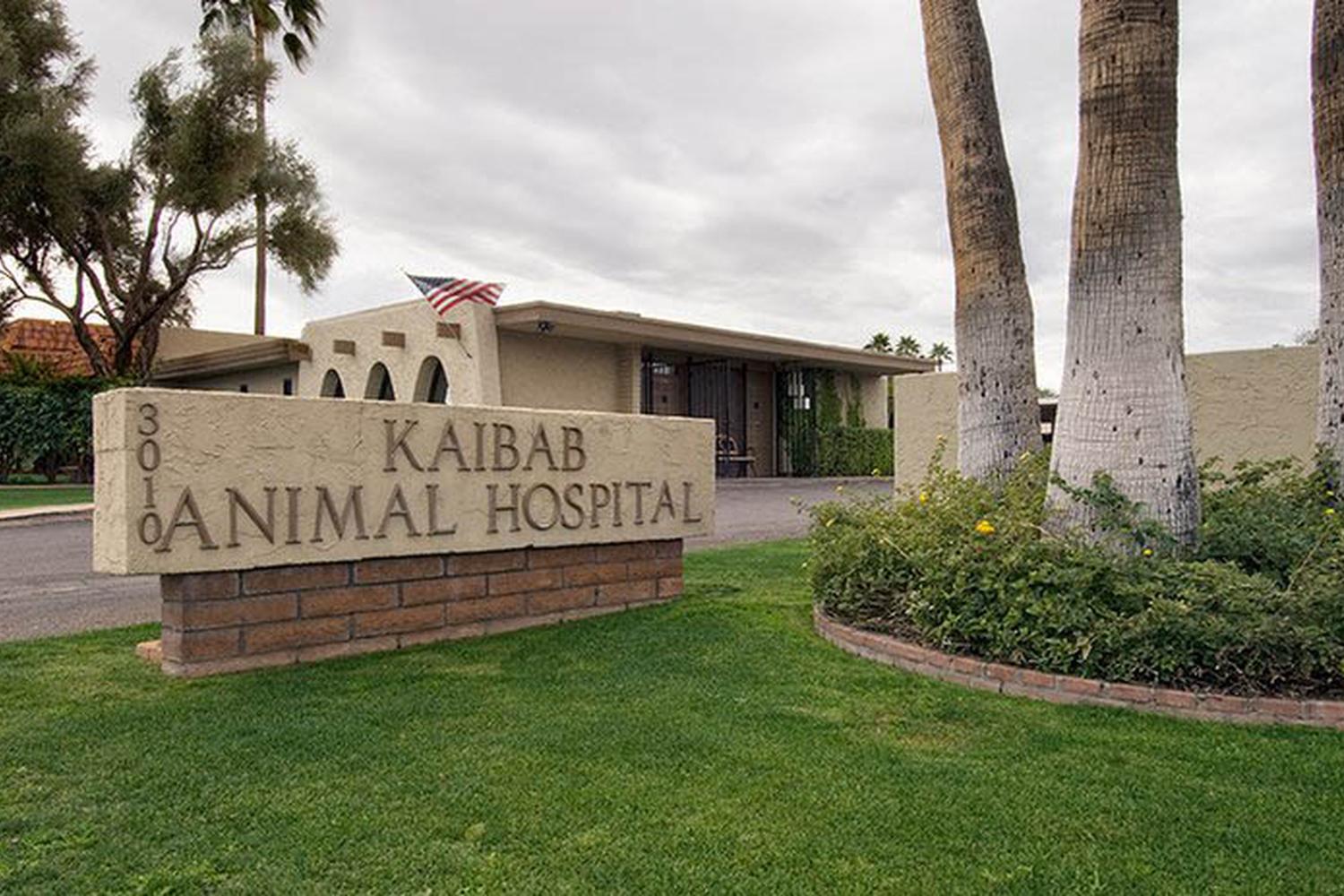 Kaibab Animal Hospital 5