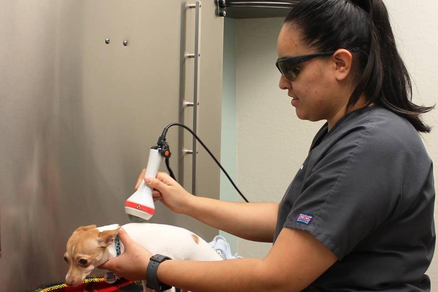 Kaibab Animal Hospital 0