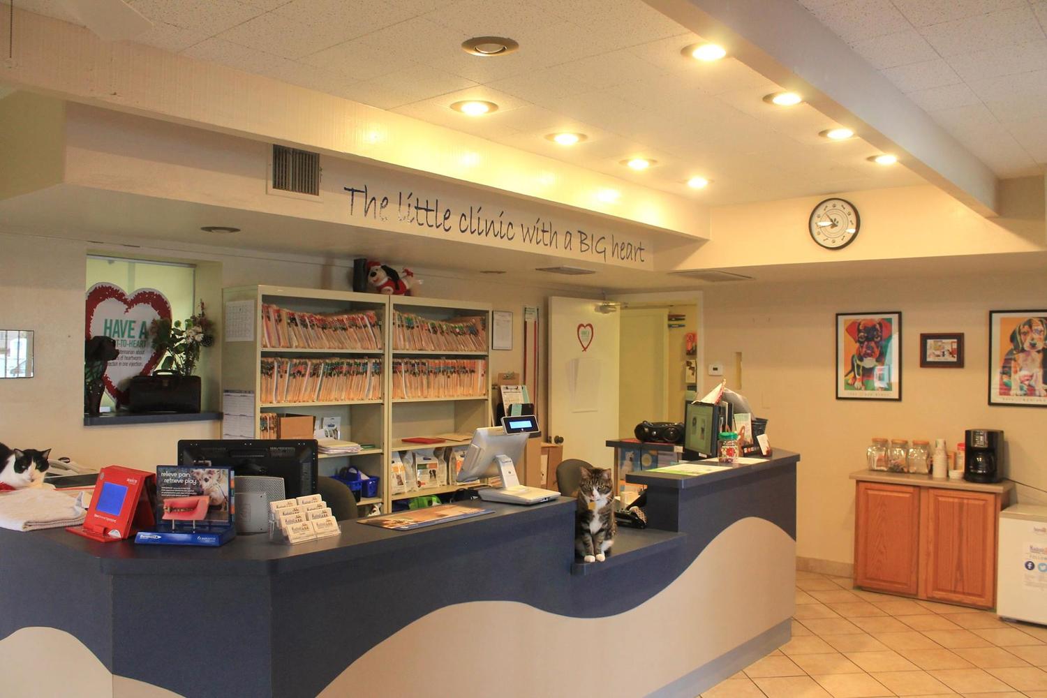 Kaibab Animal Hospital 4