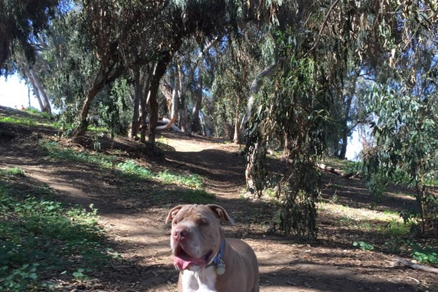 Gum Grove Park 4