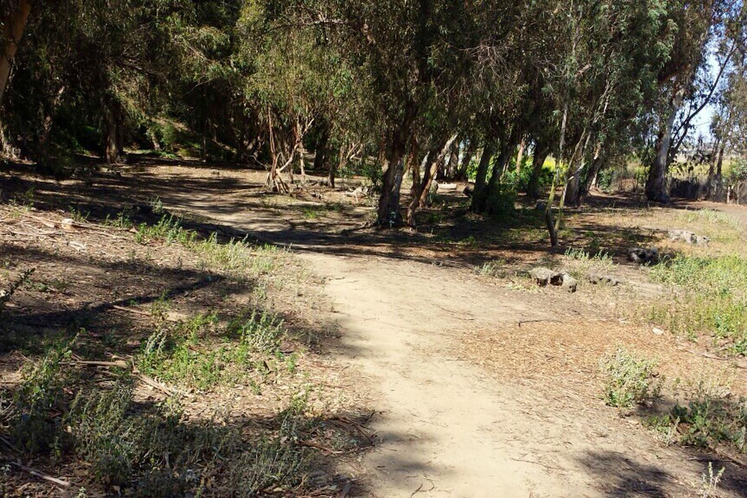 Gum Grove Park 5