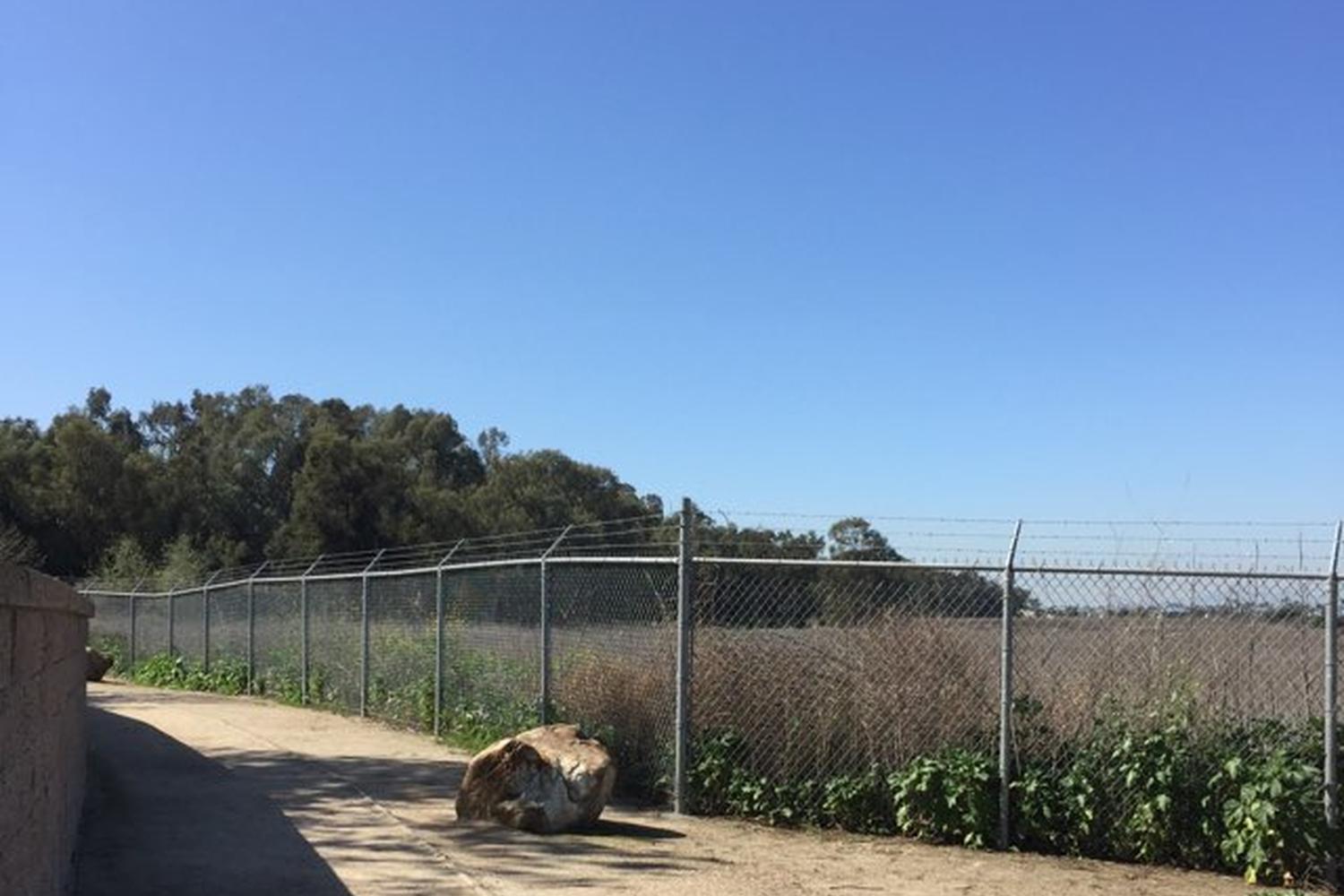 Gum Grove Park 7
