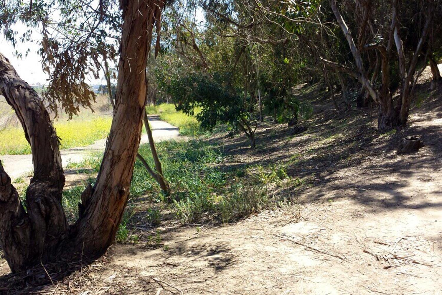 Gum Grove Park 2