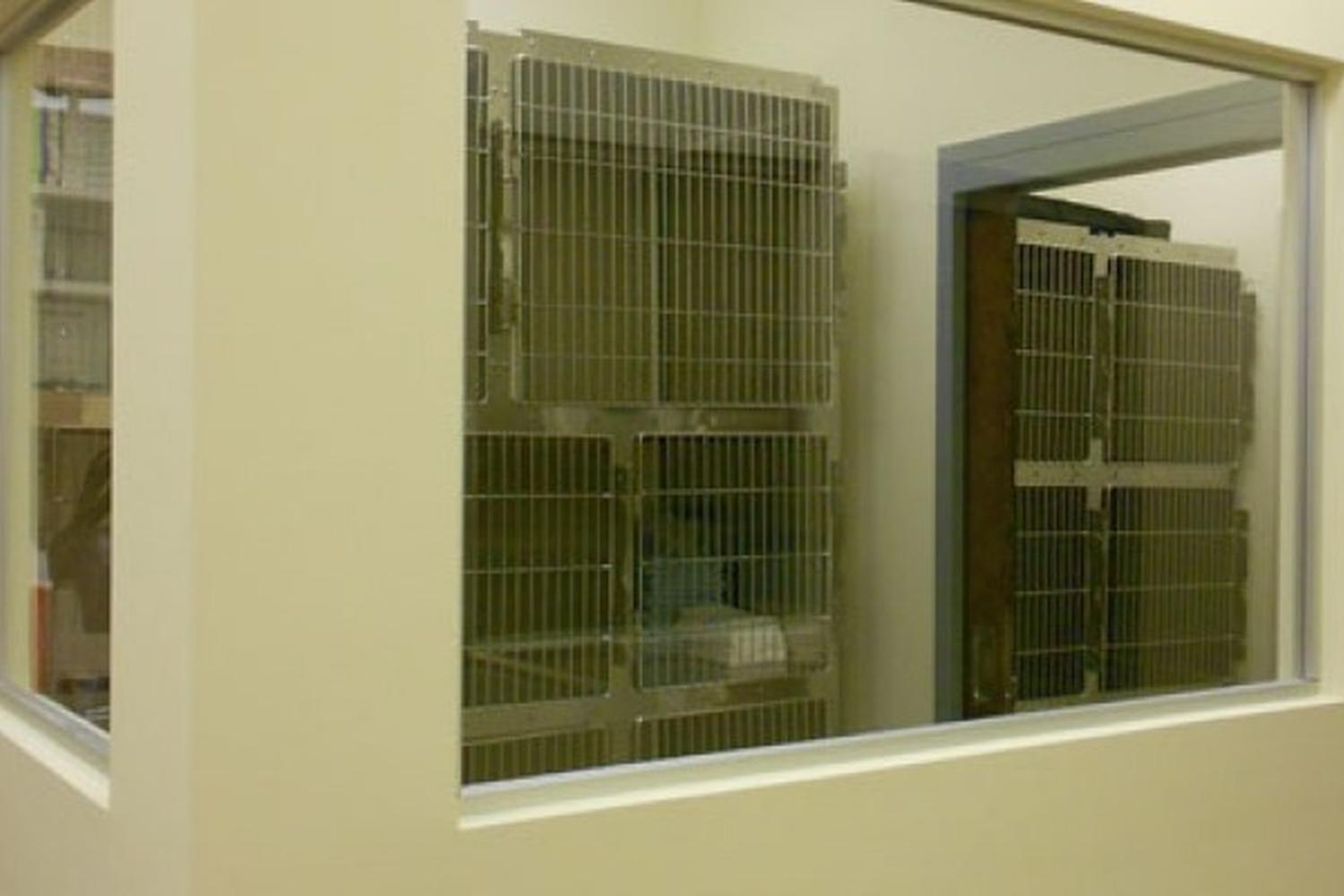 Vickery Animal Hospital 4