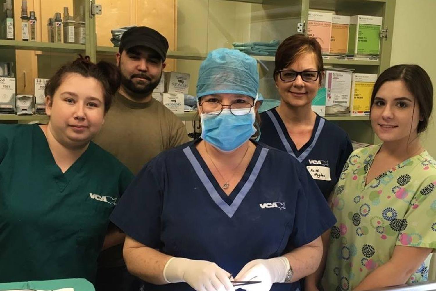 VCA Wakulla Animal Hospital 0