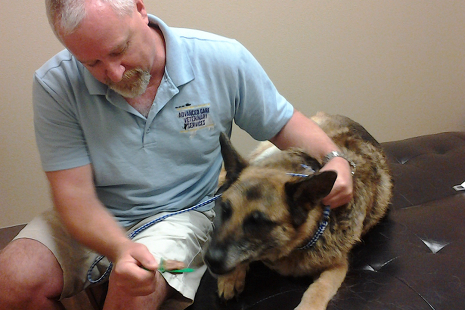 Advanced Care Veterinary Services 0