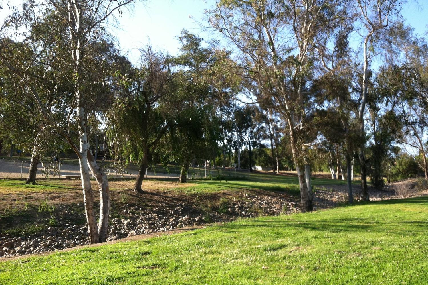 Canine Corners Dog Park at Harry Griffen Park 2