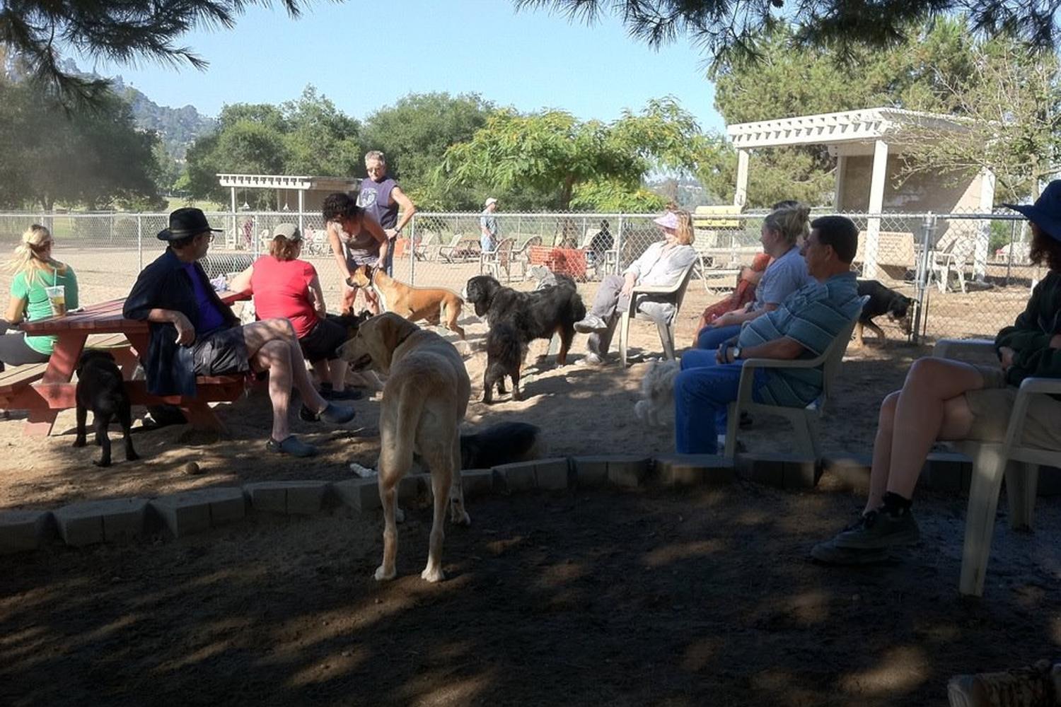 Canine Corners Dog Park at Harry Griffen Park 4
