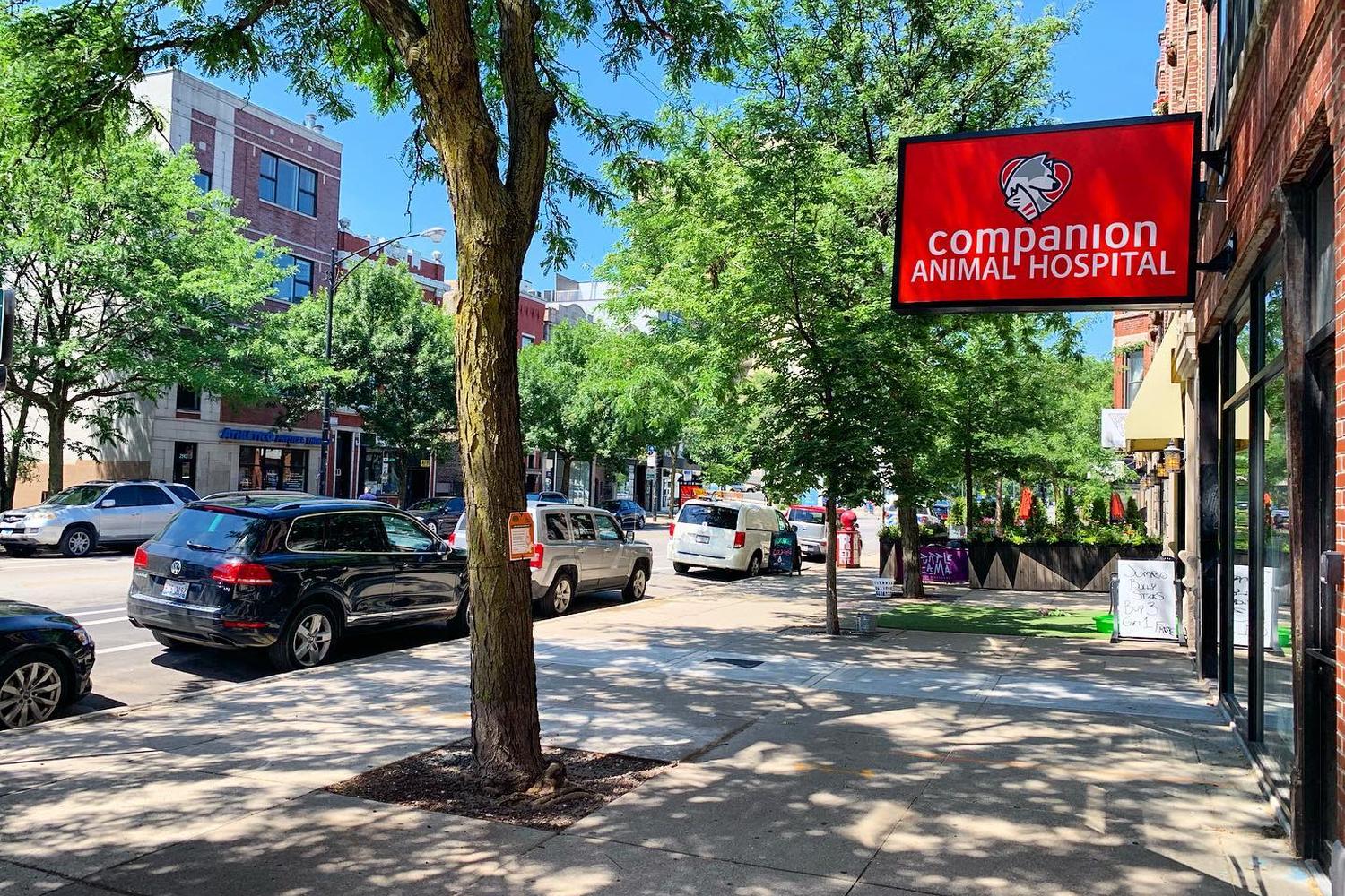 Companion Animal Hospital Wicker Park 0