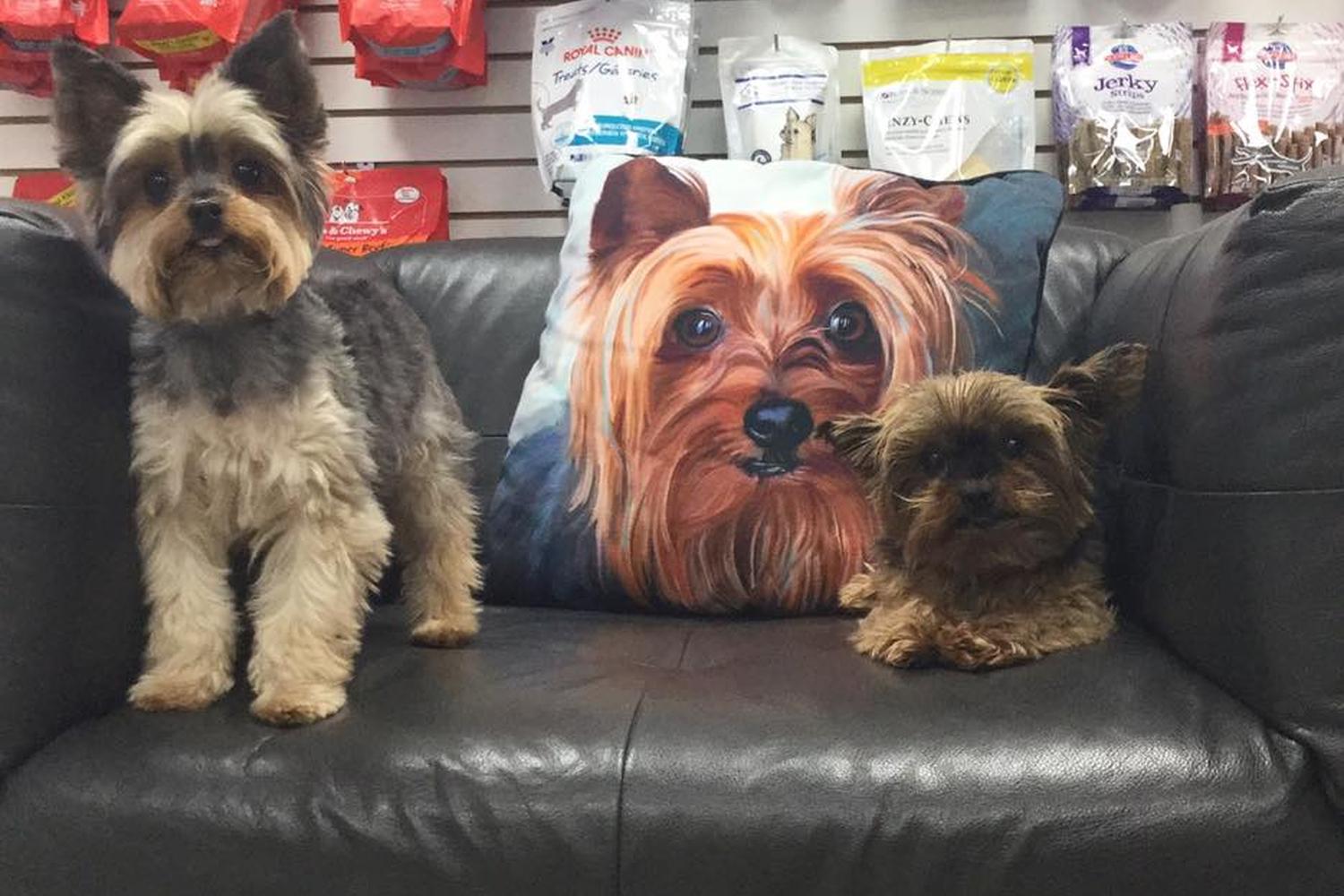 Imperial Point Animal Hospital of Delray 0