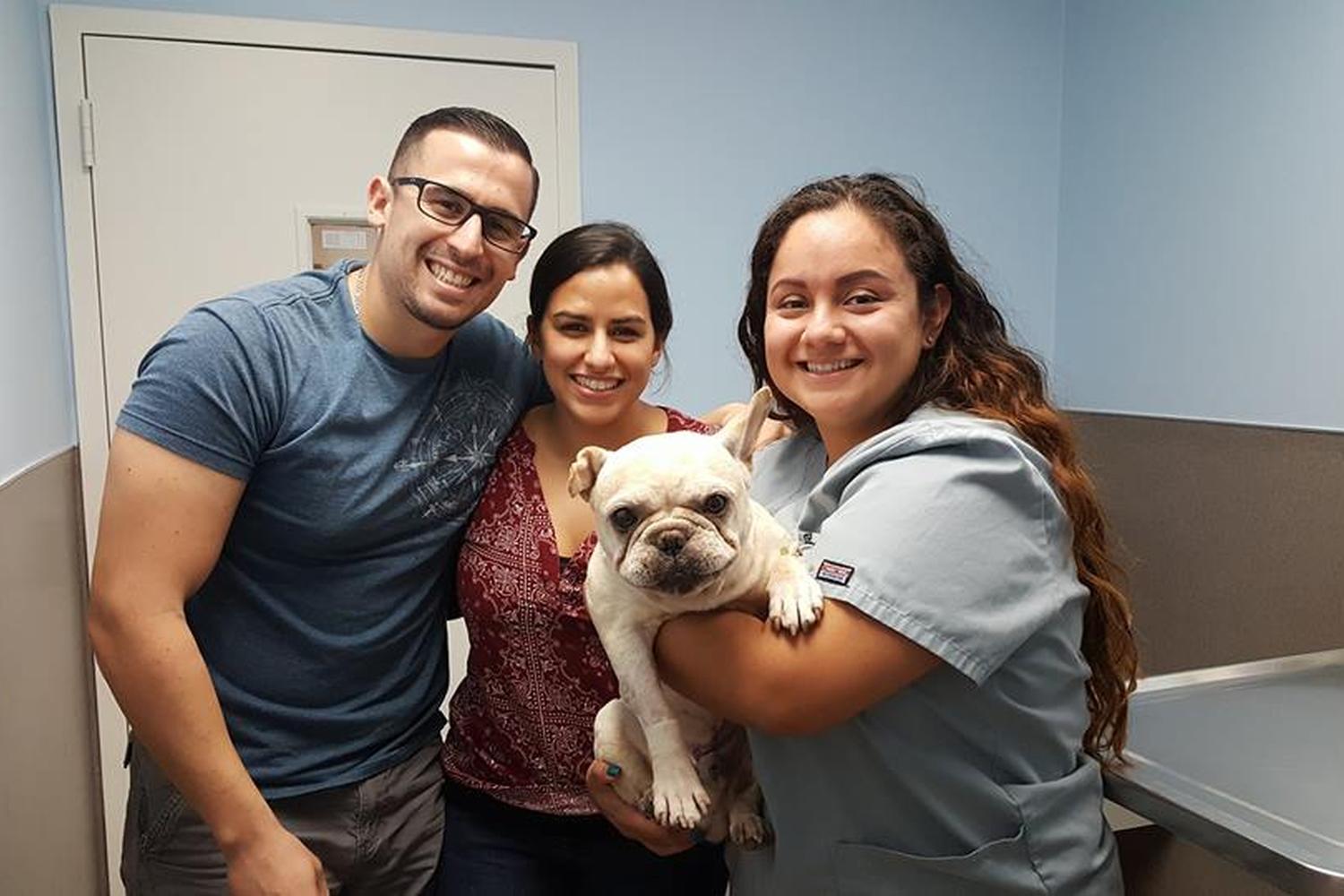 Leader Animal Speciality Hospital 4