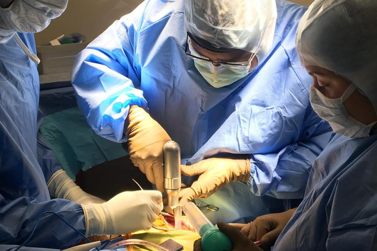 Leader Animal Speciality Hospital 0