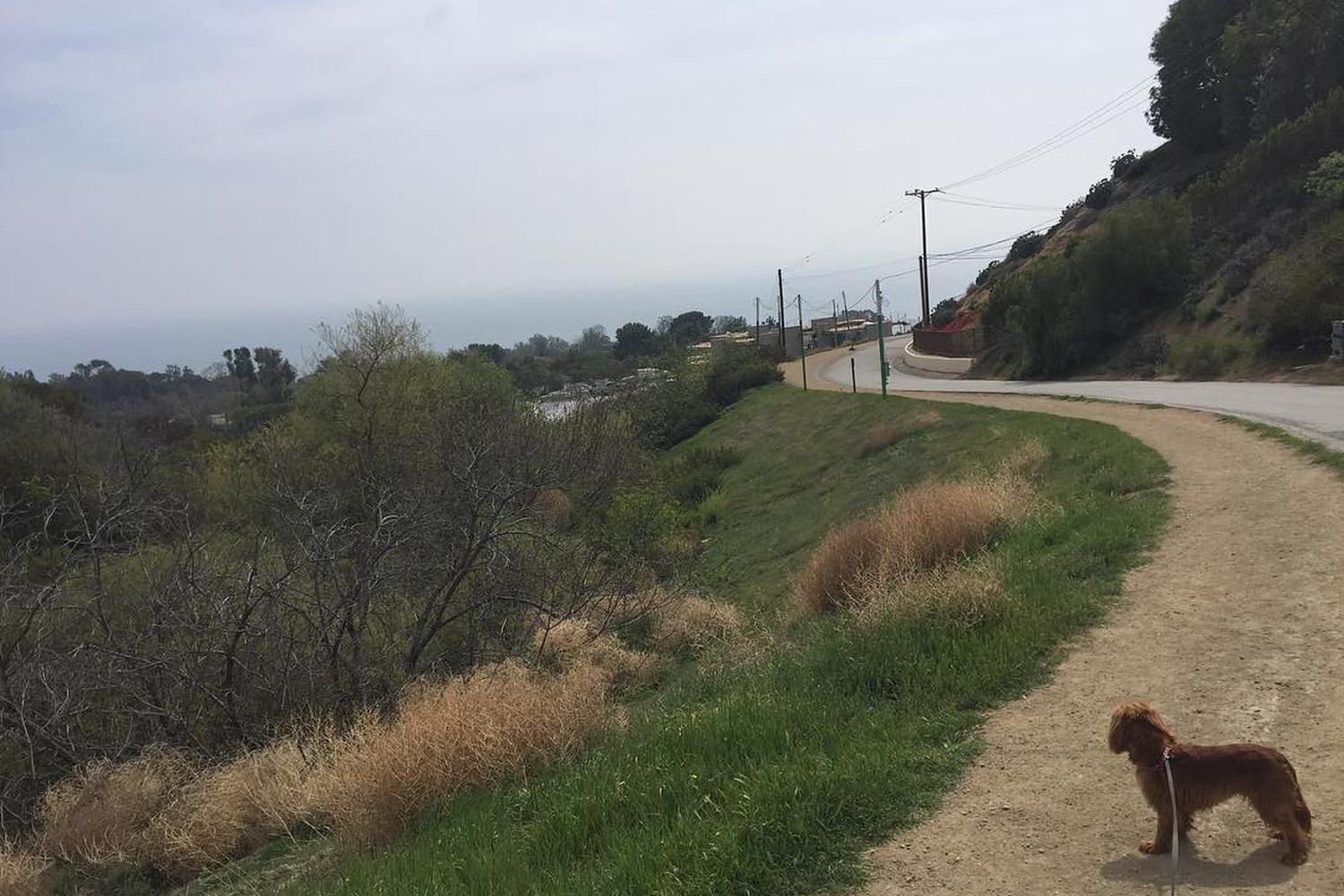 Escondido Falls Trail 3