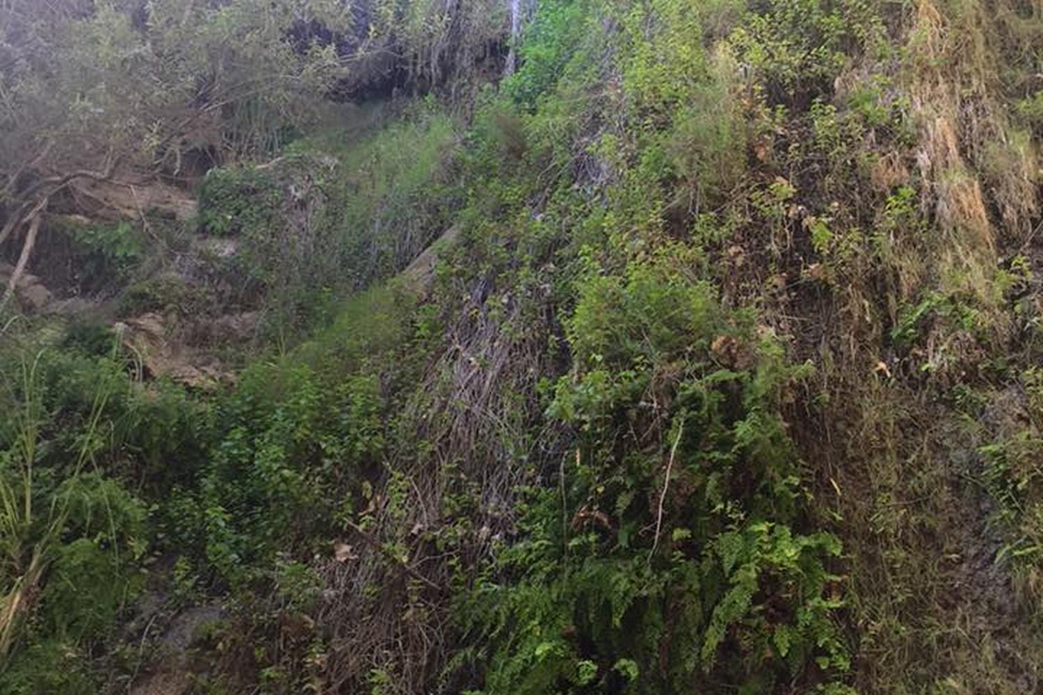 Escondido Falls Trail 0
