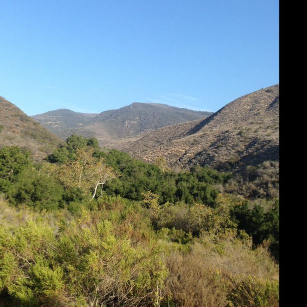 Escondido Falls Trail 2