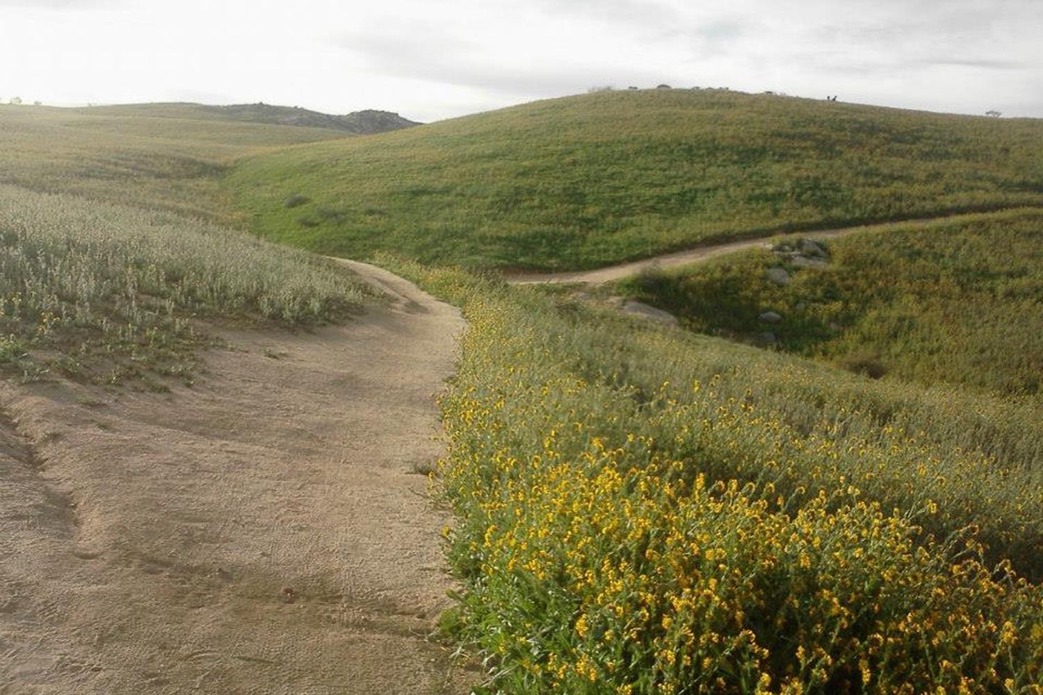 Sycamore Canyon Park 1