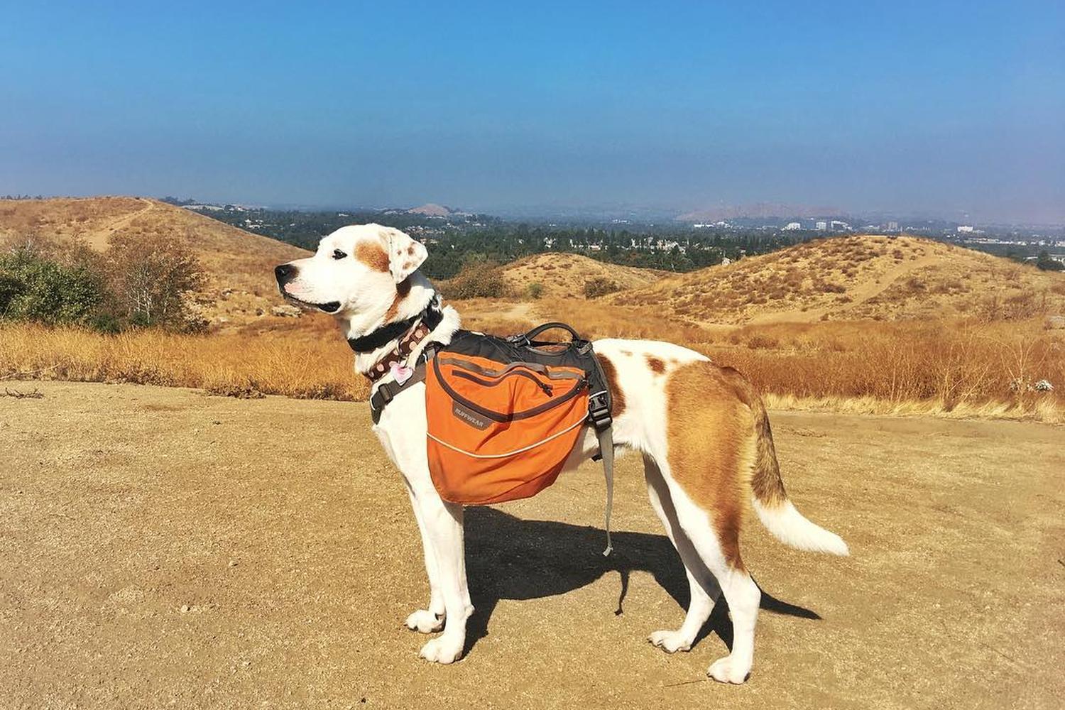 Sycamore Canyon Park 3