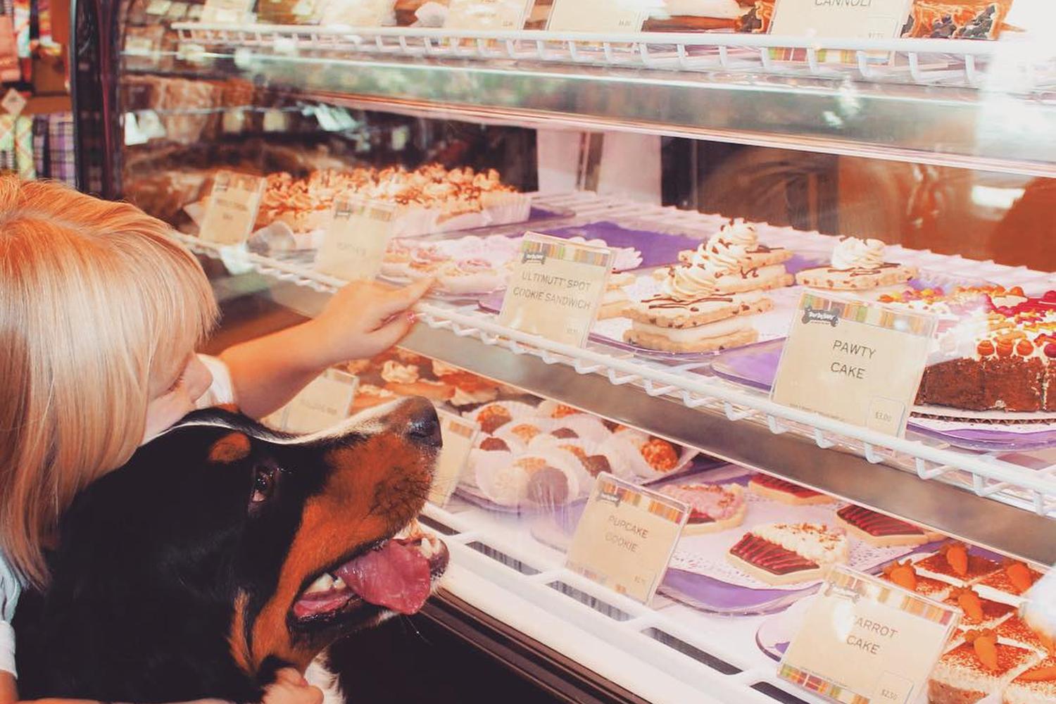 Three Dog Bakery 1