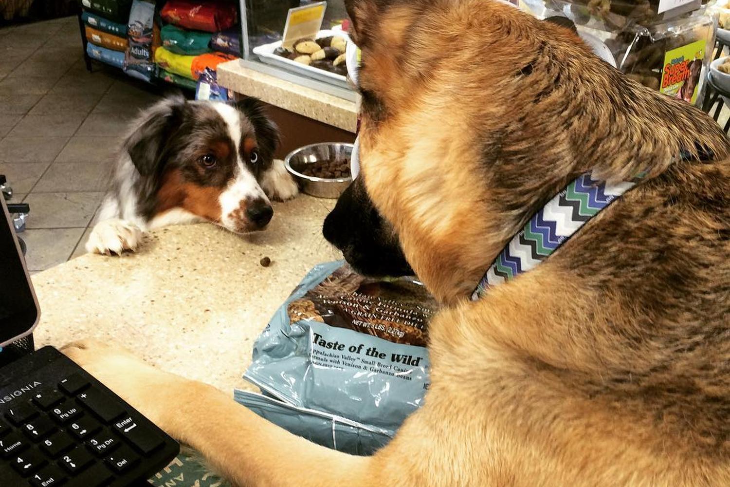 Three Dog Bakery 2