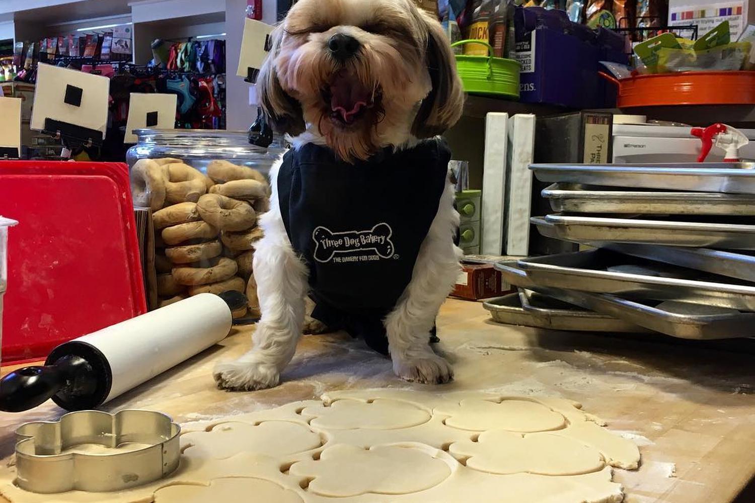 Three Dog Bakery 0