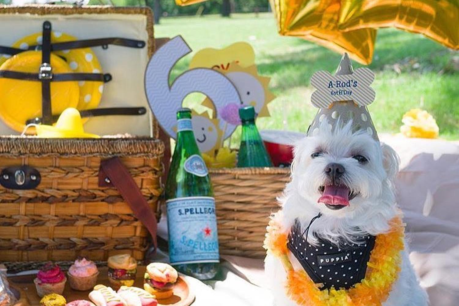 Three Dog Bakery 3