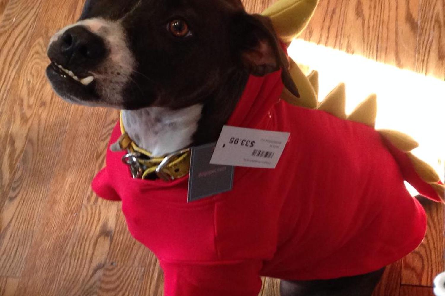 The New York Dog Shop 4