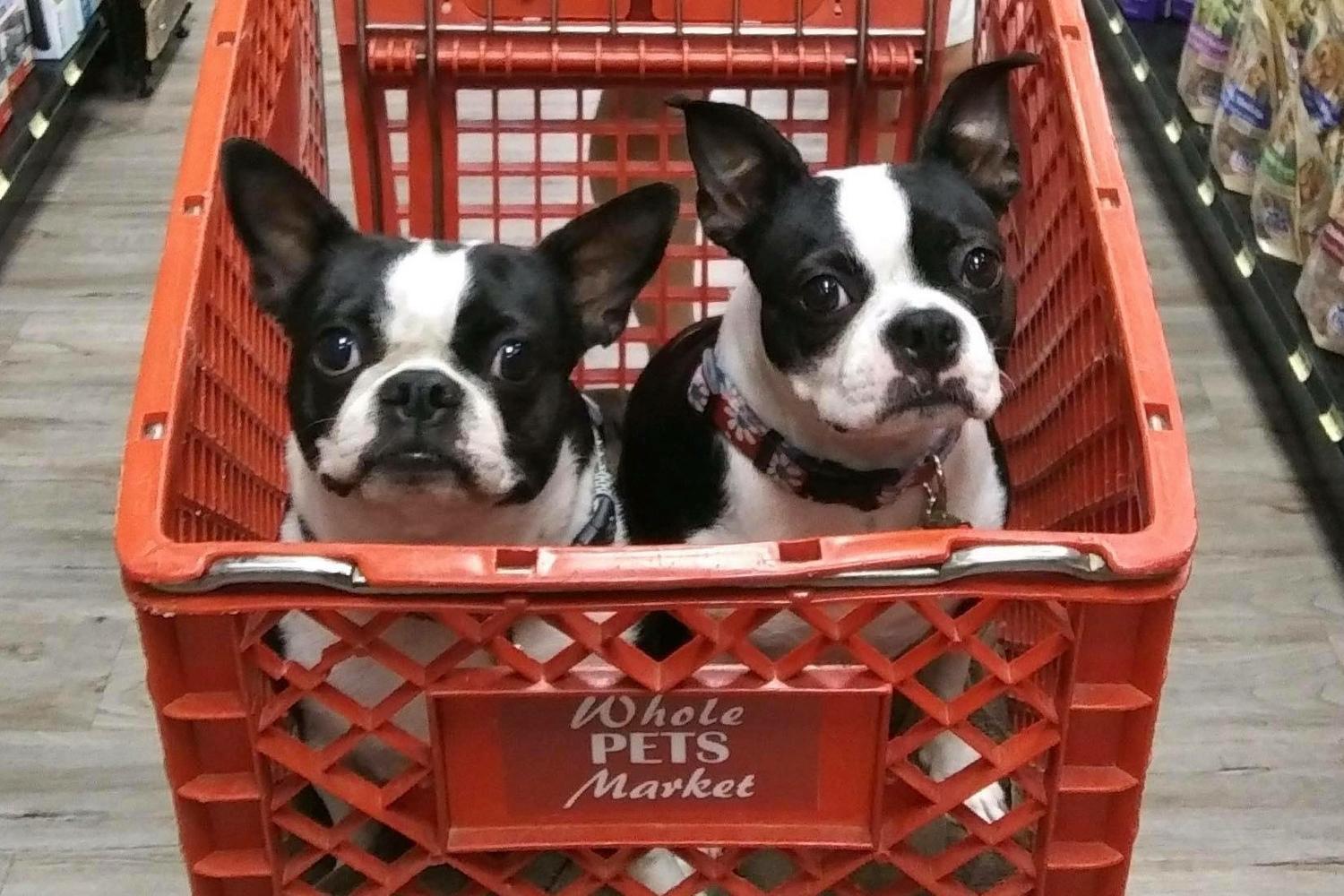 Whole Pets Market 5