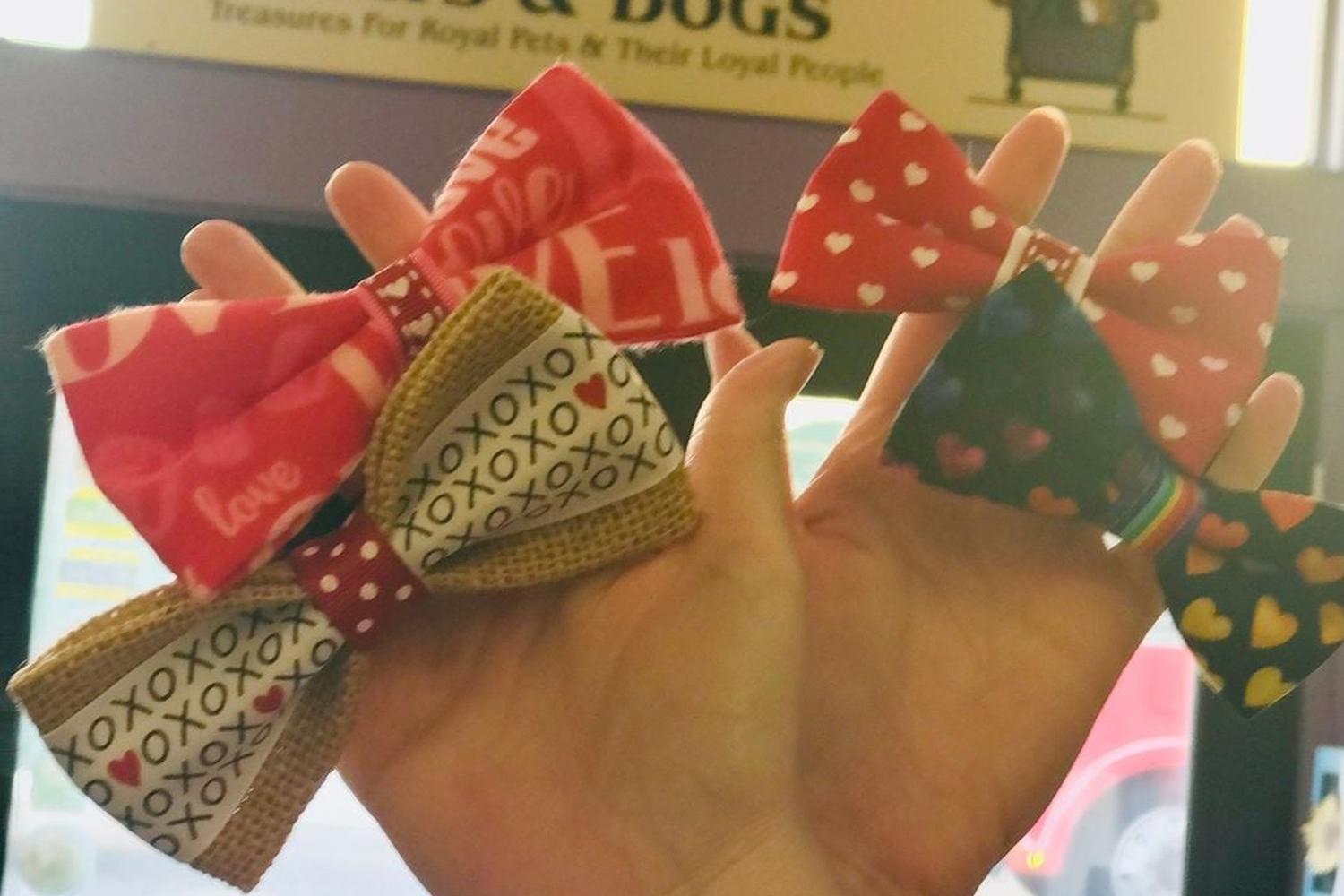 Reigning Cats & Dogs 3