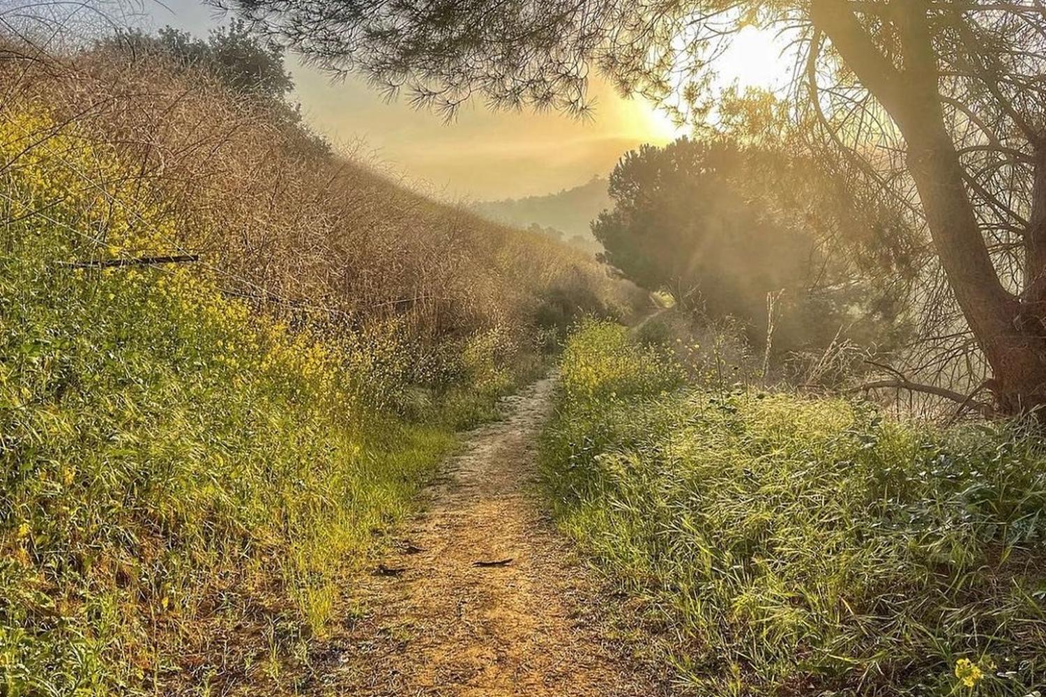 Turnbull Canyon Trail 2