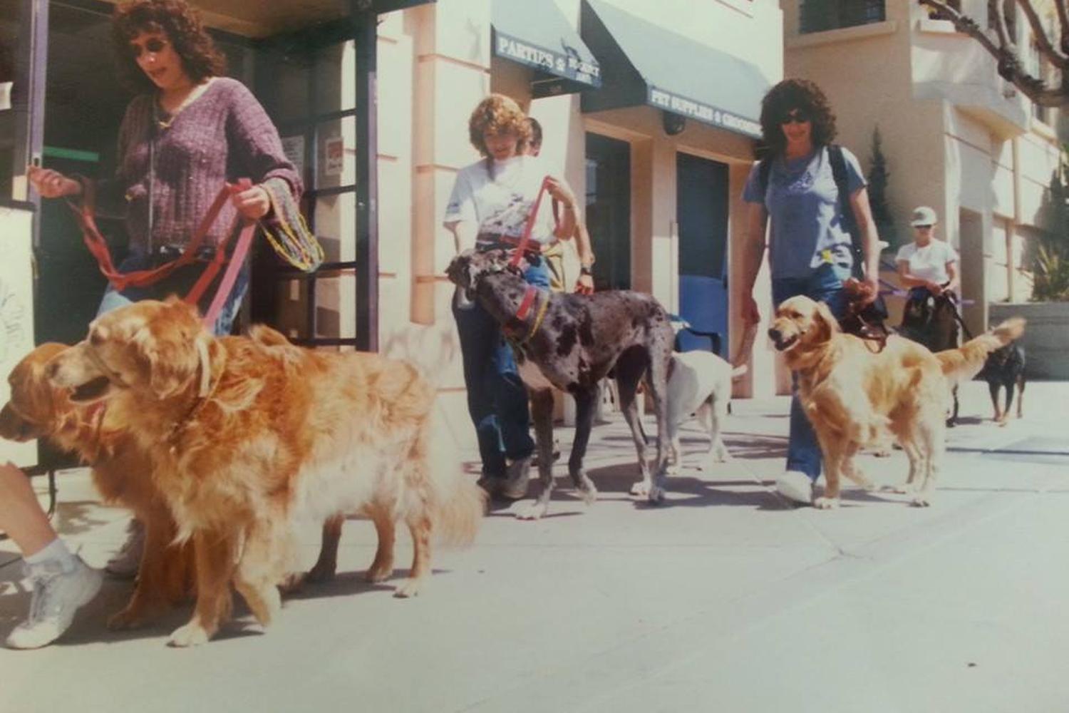 Original Paw Pleasers Dog Bakery 4